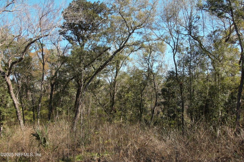 1891 Holly Oaks Ravine Dr, Jacksonville, FL 32225