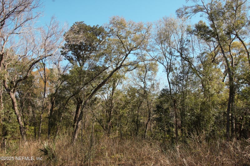 1891 Holly Oaks Ravine Dr, Jacksonville, FL 32225