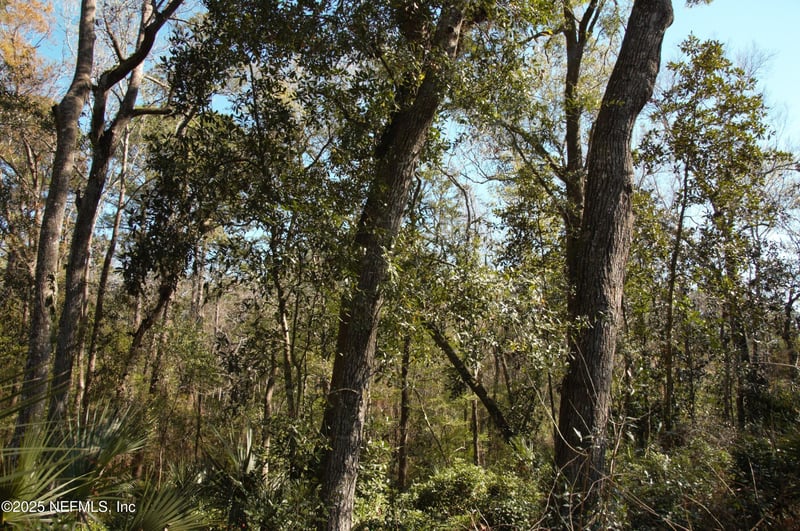 1891 Holly Oaks Ravine Dr, Jacksonville, FL 32225