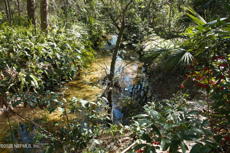 1891 Holly Oaks Ravine Dr, Jacksonville, FL 32225