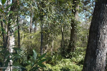 1891 Holly Oaks Ravine Dr, Jacksonville, FL 32225