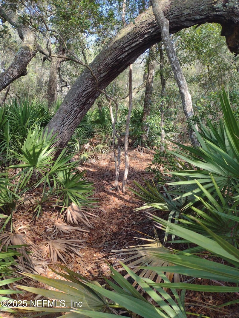 93 Tucker Lake Rd, Melrose, FL 32666