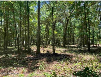 4810 Noel St, Hastings, FL 32145