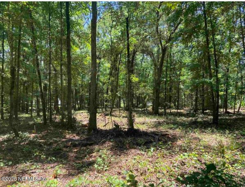 4810 Noel St, Hastings, FL 32145