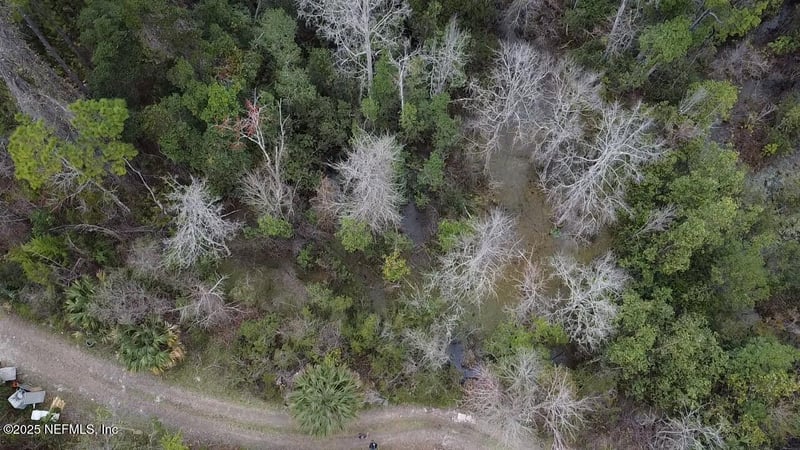 1252 Old Highway 17, Crescent, FL 32112