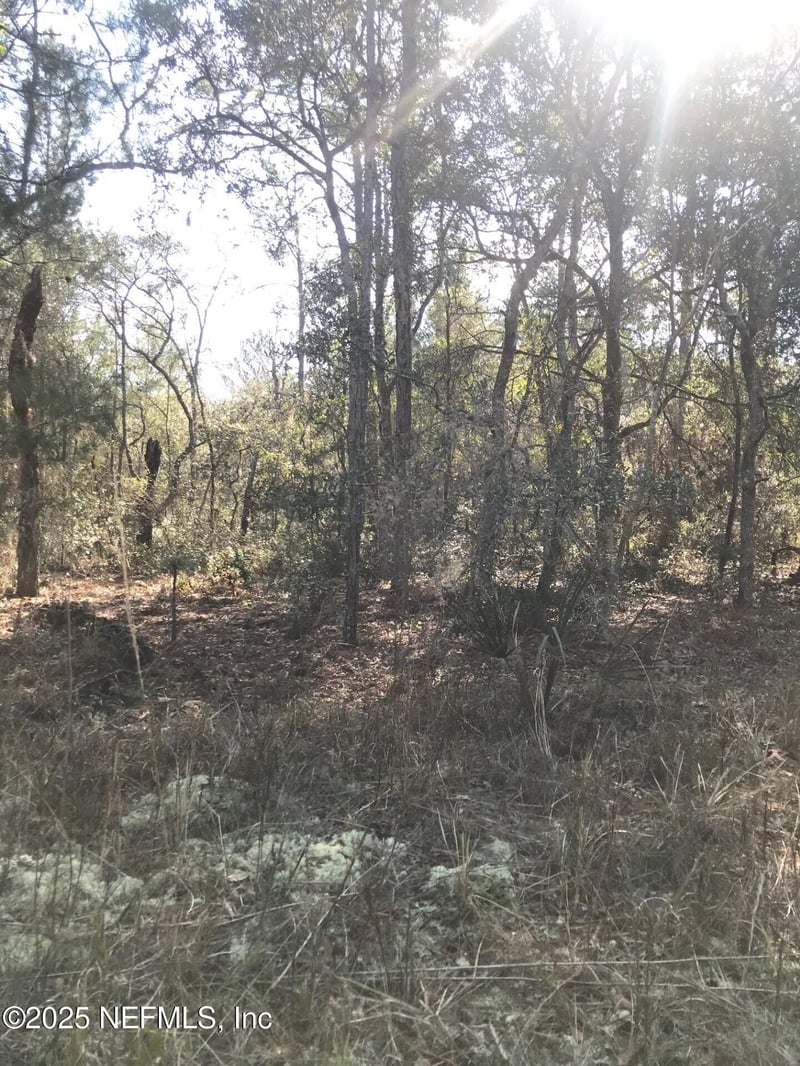 404 Mourning Dove Rd, Satsuma, FL 32189