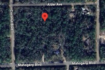 6327 Alder Ave, Bunnell, FL 32110