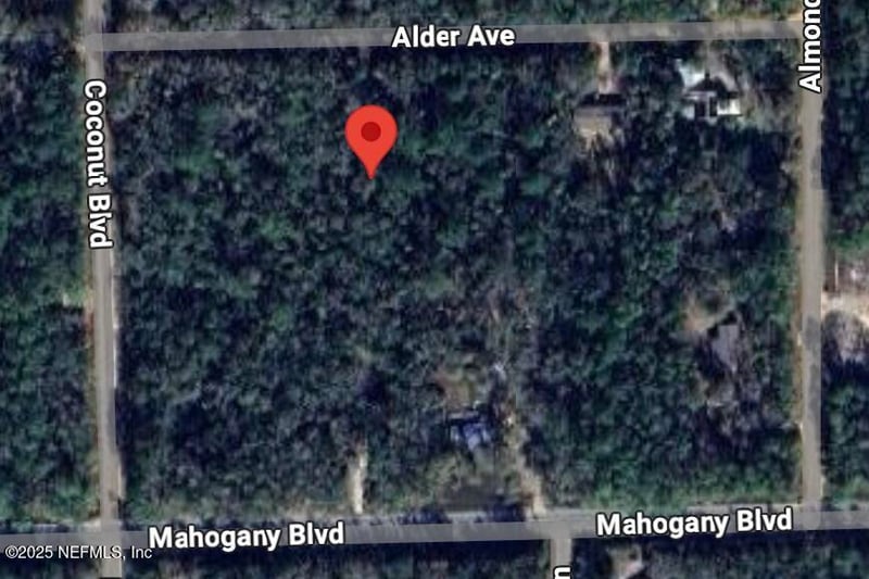 6327 Alder Ave, Bunnell, FL 32110