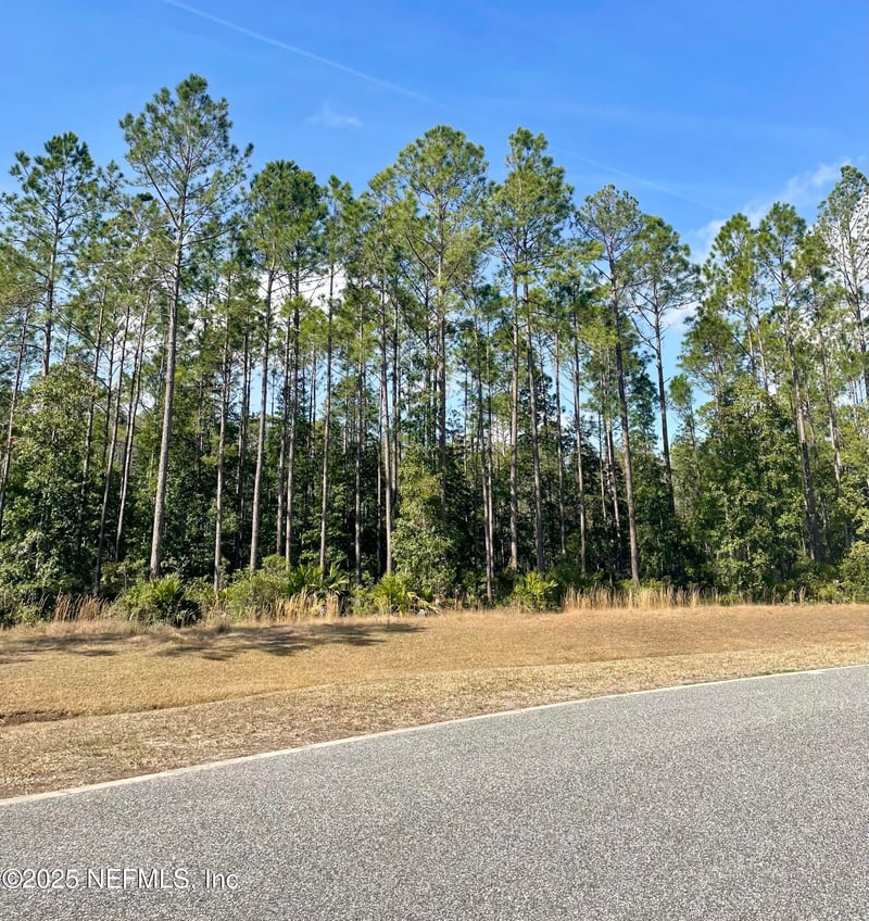 11068 Blazing Ridge Ct, Jacksonville, FL 32219