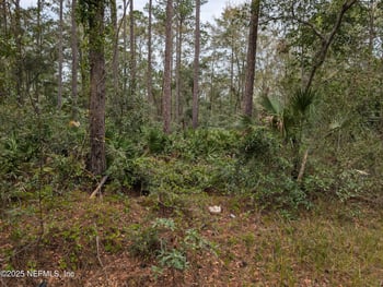 111 Cypress Dr, Georgetown, FL 32139