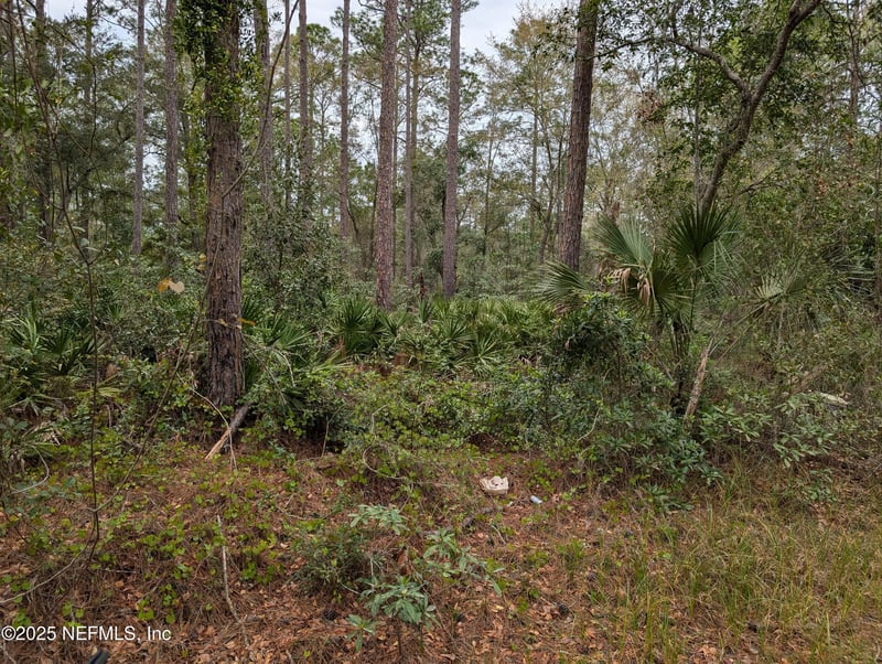 111 Cypress Dr, Georgetown, FL 32139