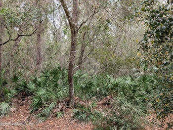 111 Cypress Dr, Georgetown, FL 32139