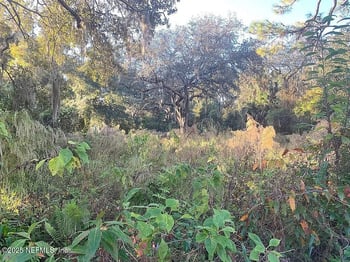 1476 Fruit Cove Rd, Jacksonville, FL 32259