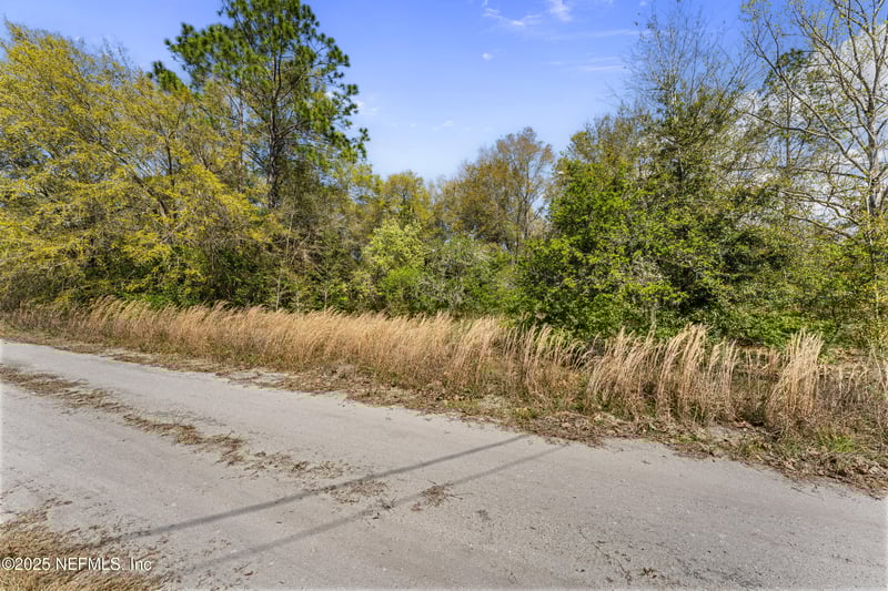 124 Ambrose Ave, Satsuma, FL 32189