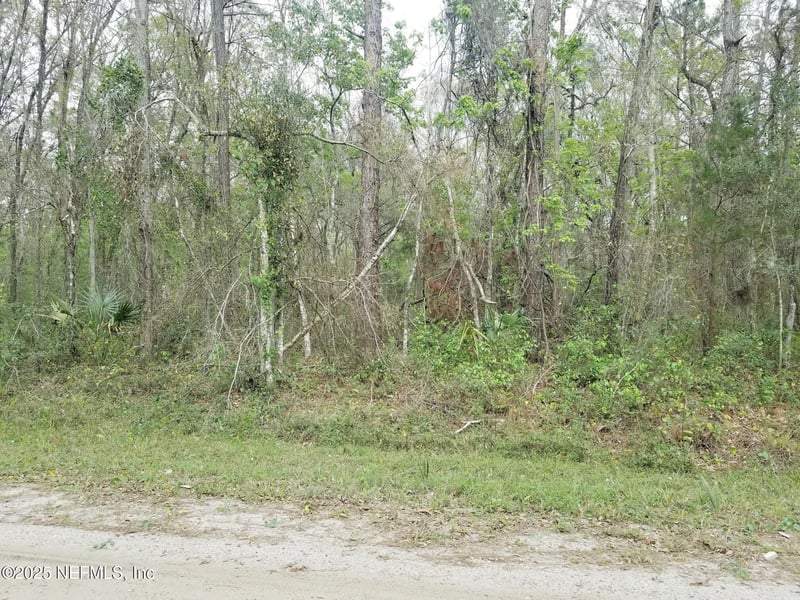 2095 Grove St, Bunnell, FL 32110