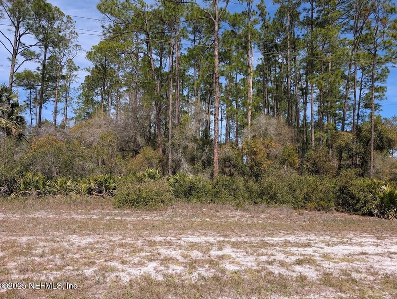 350 - 354 Georgetown Denver Rd, Georgetown, FL 32139