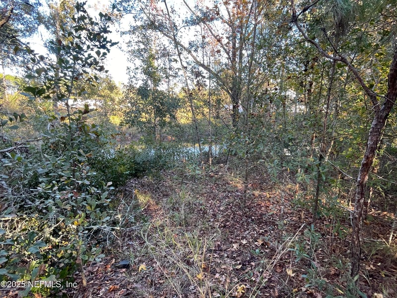 248 Tarpon Blvd, Palatka, FL 32177