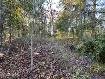 248 Tarpon Blvd, Palatka, FL 32177