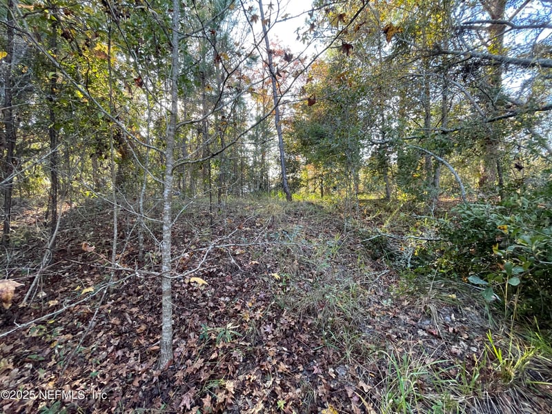 248 Tarpon Blvd, Palatka, FL 32177