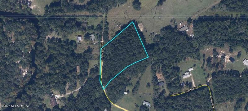 4400 Falcon Run Ln, Middleburg, FL 32068