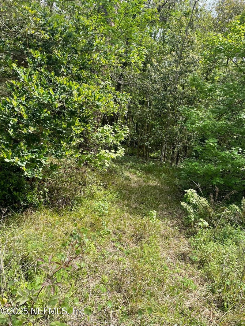 106 Bowfin Dr, Palatka, FL 32177