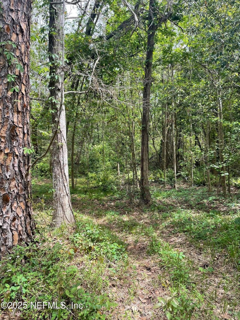 106 Bowfin Dr, Palatka, FL 32177