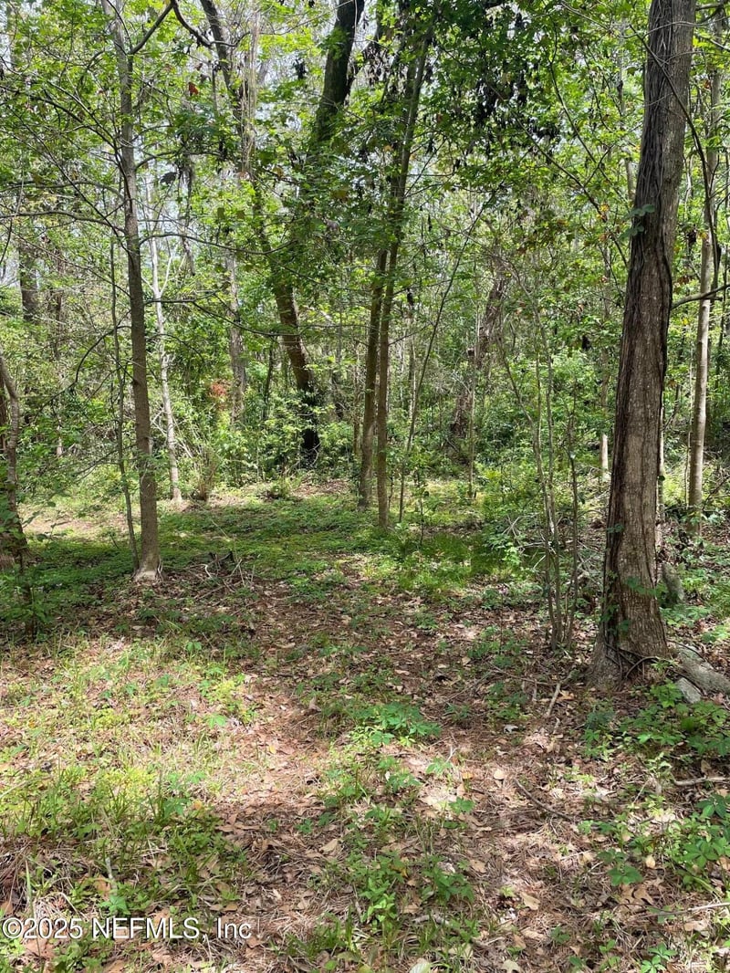 106 Bowfin Dr, Palatka, FL 32177