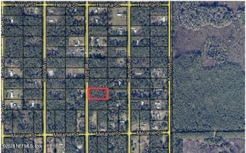 9940 Crotty Ave, Hastings, FL 32145
