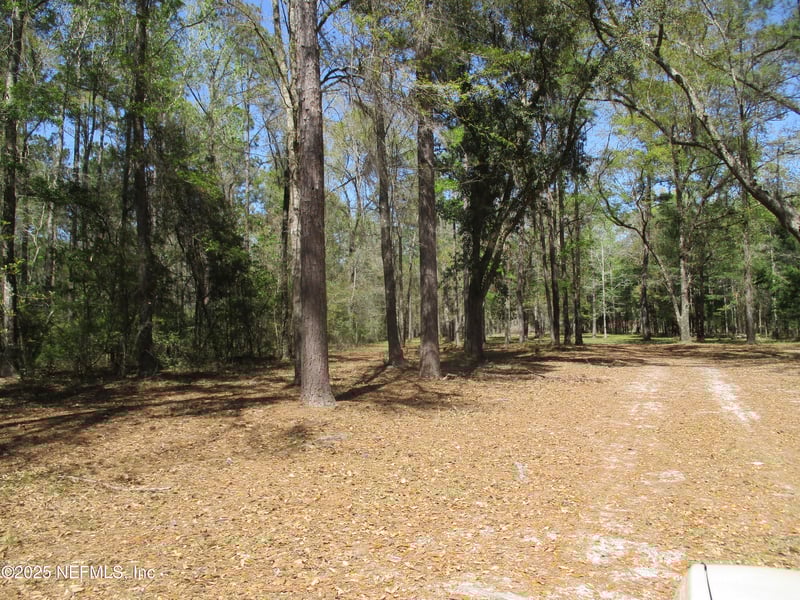 28727 Tracy Rd, Hilliard, FL 32046