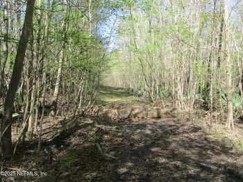 28727 Tracy Rd, Hilliard, FL 32046