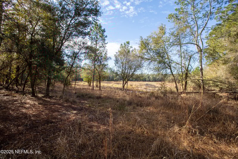 00000 Blazing Star Rd, Melrose, FL 32666