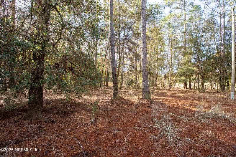 00000 Blazing Star Rd, Melrose, FL 32666