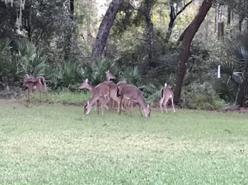 757 Old Loggers Way, St Augustine, FL 32086