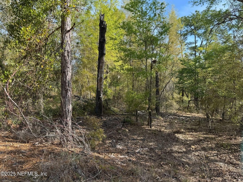 6272 Vanderbilt Dr, Keystone Heights, FL 32656