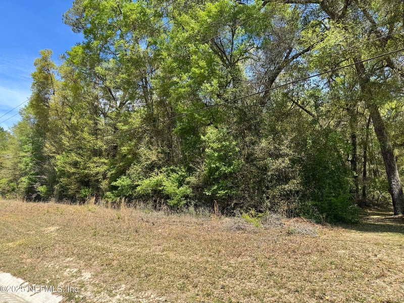 0 State Road 21, Middleburg, FL 32068