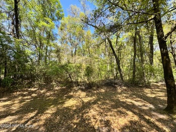 0 State Road 21, Middleburg, FL 32068