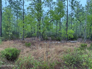 Lots 32 + 33 , Interlachen, FL 32148