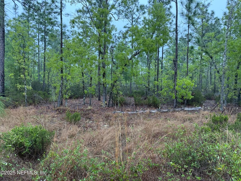 0 Lots 32 + 33 , Interlachen, FL 32148