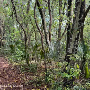 00 Keuka Lake Rd, Interlachen, FL 32148