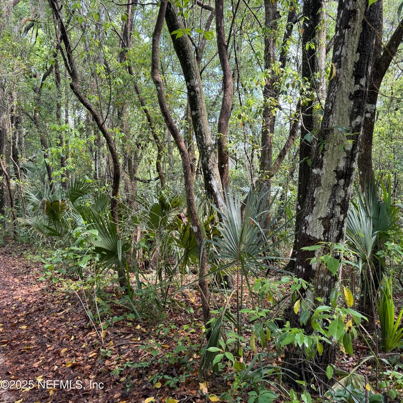 00 Keuka Lake Rd, Interlachen, FL 32148