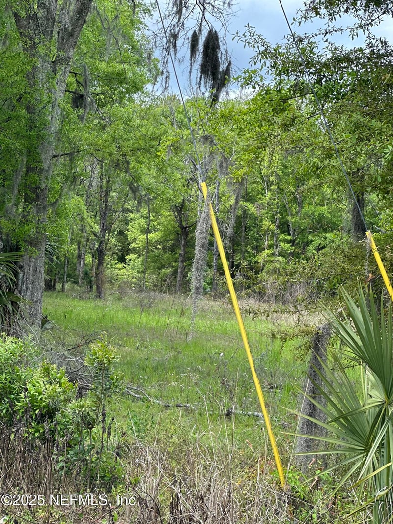 12452 Lem Turner Rd, Jacksonville, FL 32218