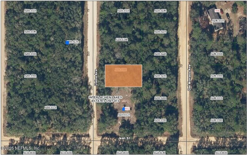 XXX Usina Ave, Interlachen, FL 32148