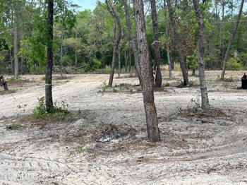 101 New Jersey St, Satsuma, FL 32189