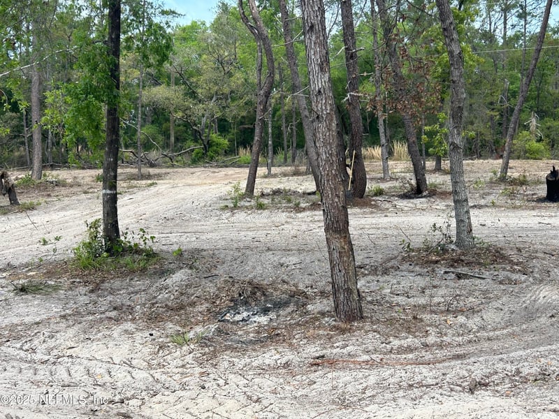 101 New Jersey St, Satsuma, FL 32189