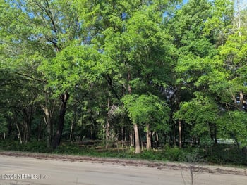 1315 Maltas Ave, Interlachen, FL 32148