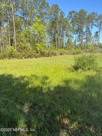 4399 County Road 218, Middleburg, FL 32068