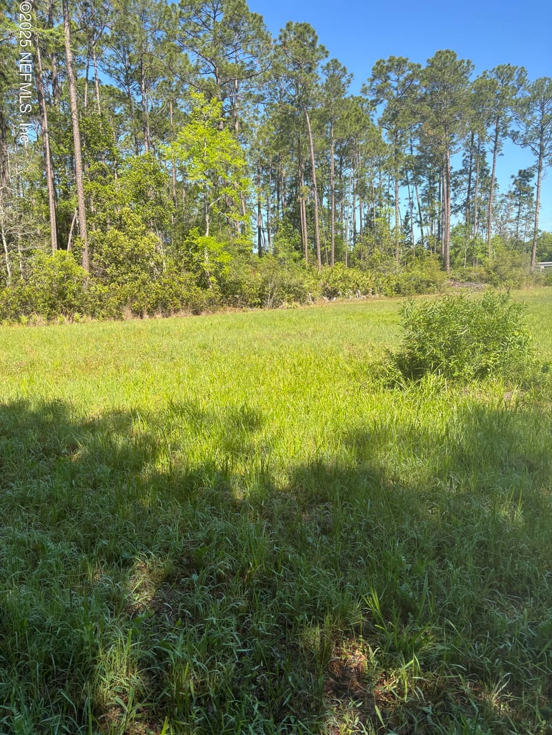 4405 County Road 218, Middleburg, FL 32068