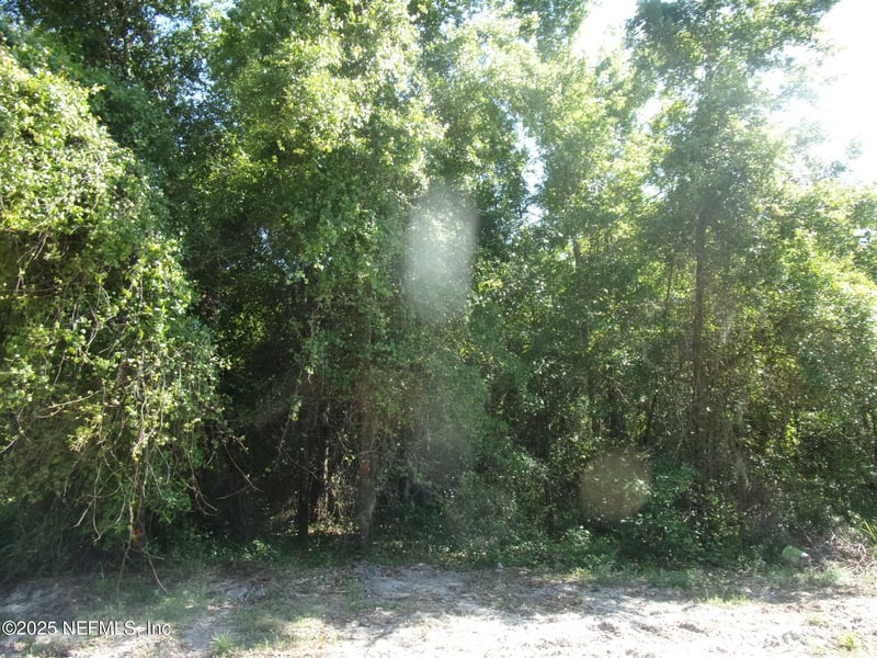 000 Edgemoor Trl, Palatka, FL 32177