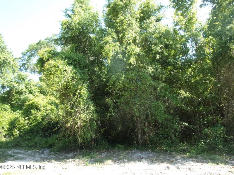 000 Edgemoor Trl, Palatka, FL 32177