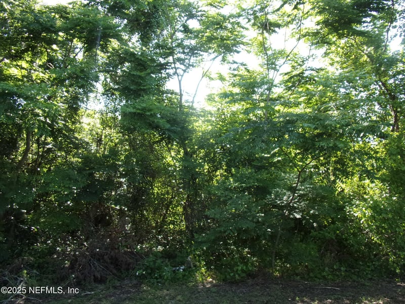 000 Edgemoor Trl, Palatka, FL 32177